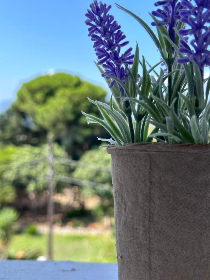 Olia Apartment Corfu (city) Exterior foto